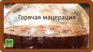 Технология горячей мацерации от АлкоЛаб на примере Абсента