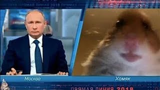 ЗАСМЕЯЛСЯ - ПРОИГРАЛ ! ЛУЧШИЕ ПРИКОЛЫ 2019 ТЕСТ НА ПСИХИКУ УГАР! РЖАКА! НЕ СМЕЙСЯ! COUB