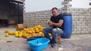 САМОГОН из ДЫНИ. "БРАГА" Часть 1