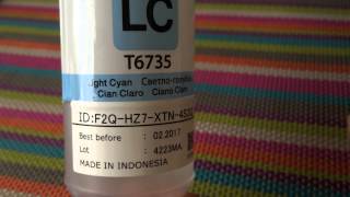 Epson L800 original ink bottle ID's. Коды чернил EPSON L800.
