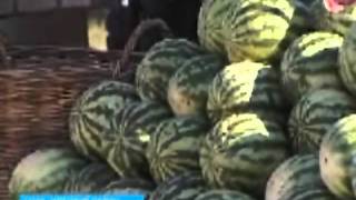 Бахчеводство на грани банкротства