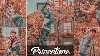 lightroom mobile presets || Princetone Preset || free lightroom mobile presets dng