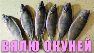 Сушка Рыбы в Дегидраторе Вяленные Окуни