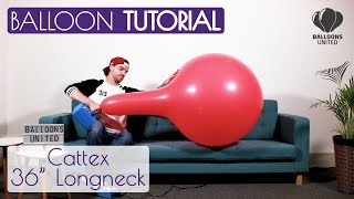 CATTEX 36“ LONGNECK – BALLOON TUTORIAL (EN+DE)