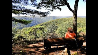 Hiking the Bob Webber Trail to the Wolf Bald Vista w/DJI Osmo Pocket