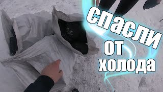 СПАСЛИ ДЯДЮ ВИТЮ ОТ ХОЛОДА