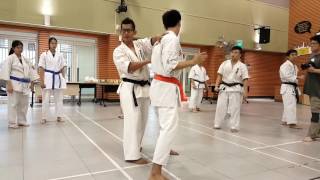 Ashihara Karate: K-CON 2017 - Train! Interact! Experience!