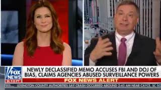 FISA warrant allowed spying on entire Trump campaign