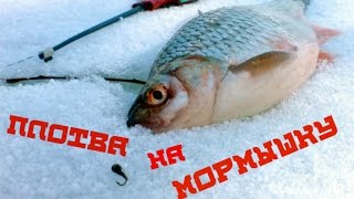 ПЛОТВА ЗИМОЙ! Ловля плотвы на мормышку