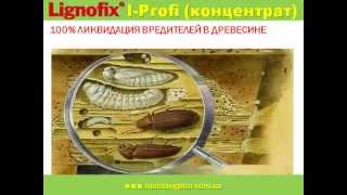 Антисептик для ликвидации вредителей древесины Lignofix