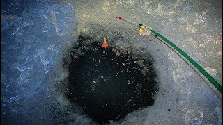 ОТКРЫЛ СЕЗОН подледного лова ДУРНОЙ КЛЕВ ПЛОТВЫ
