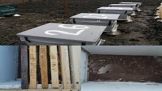 Теплая зима и плохая зимовка поздних отводков