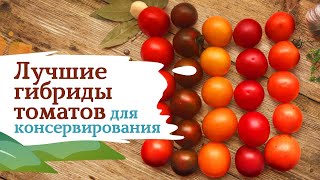 Набор томатов для консервирования
