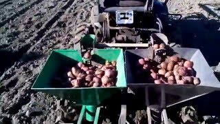 Двохрядна картоплесаджалка до міні трактора