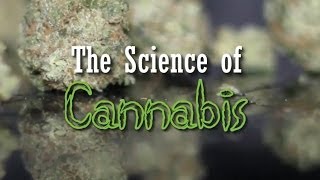 The Science of Cannabis (Documentary)