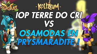 [DOFUS] TARKAN / PANOPLIE CORRUPTION CAC vs OSA AIR PRYSMARADITE ! Top ladder