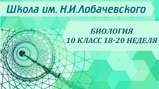 Биология 10 класс 18-20 неделя Энергетический и пластический обмен веществ