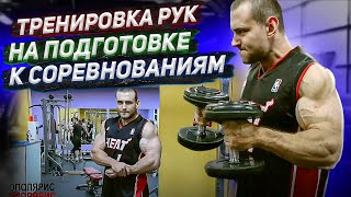 Огромные руки! Как накачать руки? Тренировка рук. Тренировки на подготовке/на сушке. Гончаров Олег.