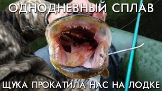 ОДНОДНЕВНЫЙ СПЛАВ ПО ТАЕЖНЫМ РЕКАМ / ПОЙМАЛИ БОЛЬШУЮ ЩУКУ КОТОРАЯ ПРОКАТИЛА НАС НА ЛОДКЕ