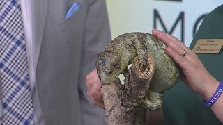 Summer Events For Adults, Kids At The Minnesota Zoo