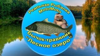 Как поймать Бычка-травяника на Лесном озере | Реальная Рыбалка