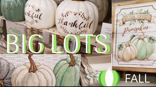 SHOP WITH ME  BIG LOTS | FALL DECOR 2018