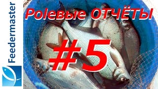 Ловля леща зимой на фидер. Зимний фидер на Москве Реке.