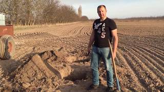 Как получить хороший урожай винограда? Причины вымерзания винограда