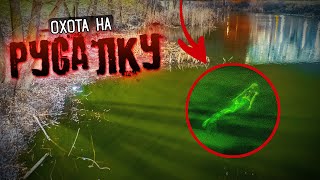 Охота на РУСАЛКУ! Засняли Реальную Русалку в озере! Хвост Русалки / Потусторонние