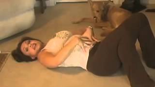 Dog Functional, Hardcore ABS!  Забавная собака и ее очаровательная хозяйка