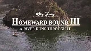 Homeward Bound III: A River Runs Through It