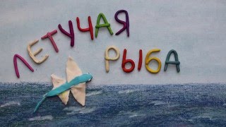 Летучая рыба. Пластилиновый познавательный мультфильм. Exocoetidae. Plasticine Animation.