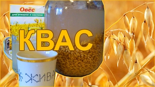 Как самому приготовить квас из овса