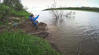 РЫБАЛКА НА СЕВЕРЕ. ВЕДРО РЫБЫ ИЗ ПОД КОРЯГИ.