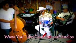Los Canelos De Durango - El Descuido Del Aguila (EnVivo Con Tololoche)