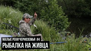 Малые реки Черноземья. Сезон 4. Выпуск 5