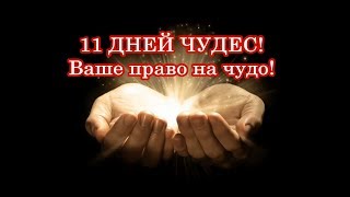 Вы имеете право на чудо! Для Вас доступно 11 дней чудес!