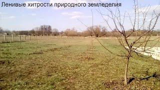 Ленивые хитрости природного земледелия. Сад. Выпуск 1.