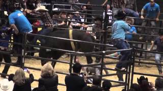 Accidente en el jaripeo Villa park il toro de rancho los terribles de Cristian Juares