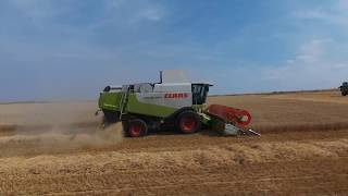 Weizen Ernte 2018 Claas Lexion 560 Lohnunternehmen Ährensache 1/3