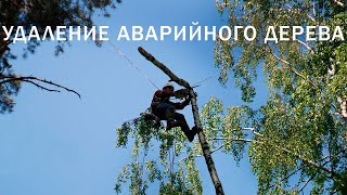 УДАЛЕНИЕ АВАРИЙНОГО ДЕРЕВА