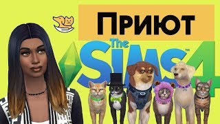 ? ? Стрим?The Sims 4►Приют►/Кошки и собаки/Часть 2
