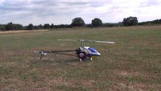 T-Rex 700T Turbine Wren MW44 by www.heli-chris.de 4thFlight2