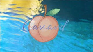 Callipyge - Canard (Clip Officiel)