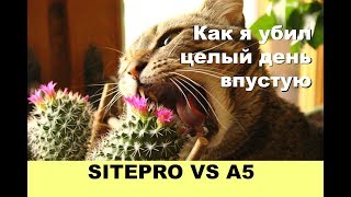 Конструкторы сайтов для мазохистов