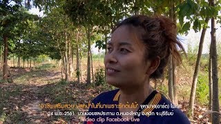 "อาชีพเสริมสวย ปลูกป่าในที่นาเพราะรักต้นไม้" จุฑามาศ(อาร์ต) ไพเราะ