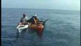 Kayak Fishing for Marlin in Baja