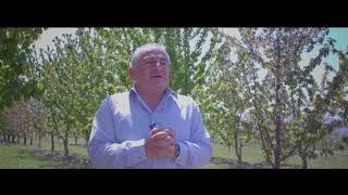 თხილის კულტურის ინტეგრირებული დაცვა
