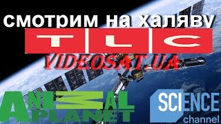 ?Смотрим? на халяву  Animal Planet Europe, Discovery Channel