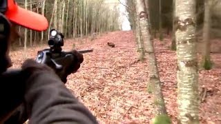 Best of wild boar hunting | Top kill shots compilation - Ultimate Hunting